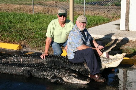Dales two alligators from Florida hunt