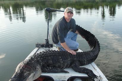 Corey 10ft 8in gator