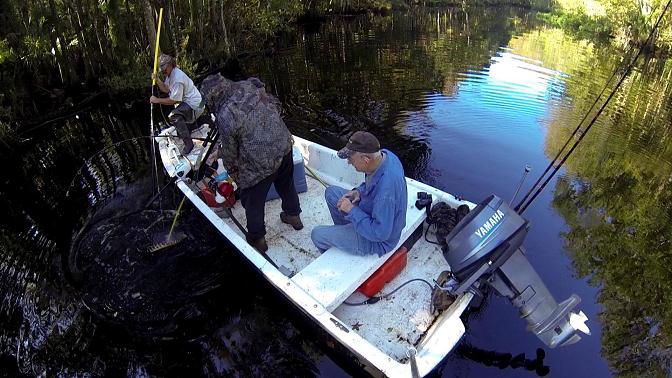 Dale in the swamp with david